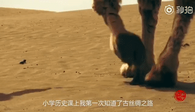 壓力公式pa