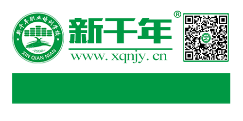 2024年會計中級職稱報名時間