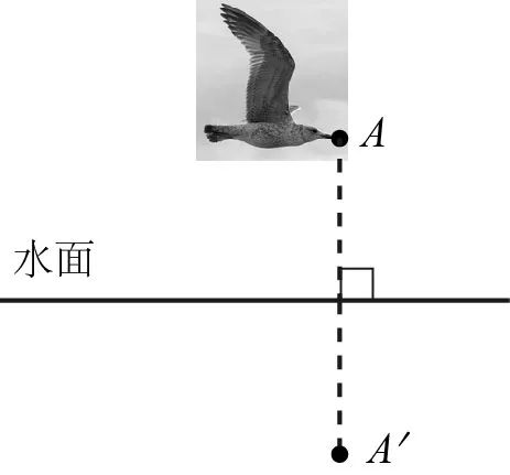 眼睛看平面鏡成像作圖