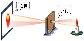 八年級上冊物理答案