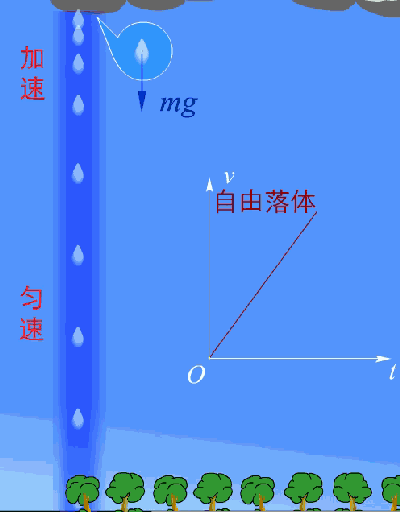 高中物理重力加速度