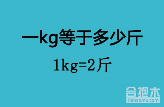1kg等于多少斤,1000克等于多少斤,千克,斤,