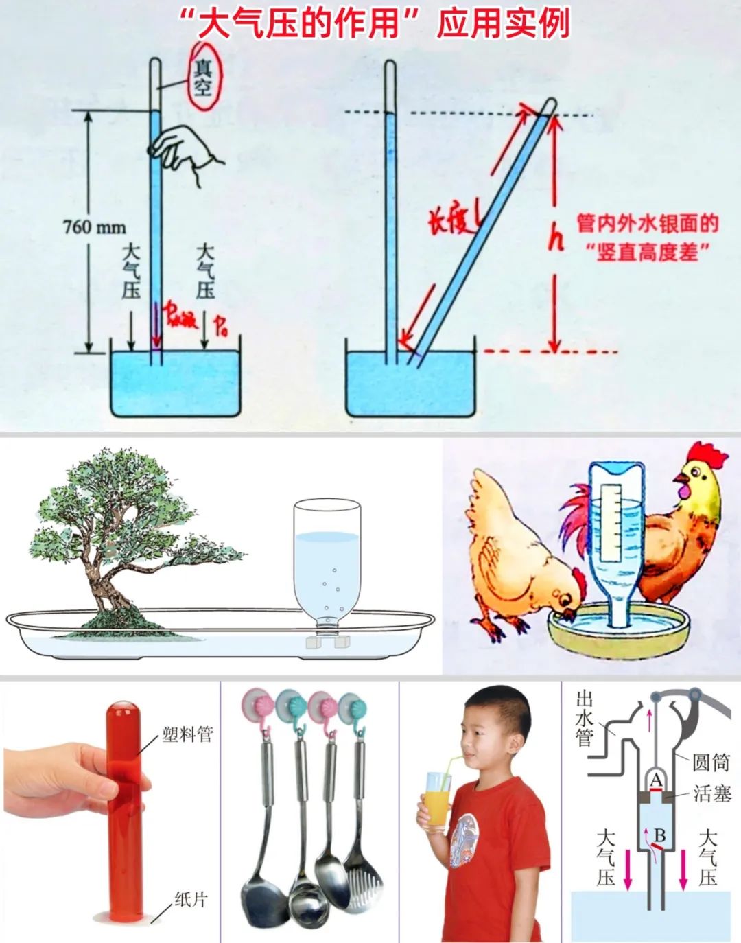初中物理運(yùn)動與能量