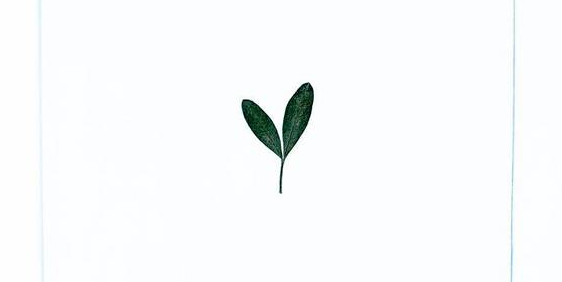 高中物理的化學(xué)公式