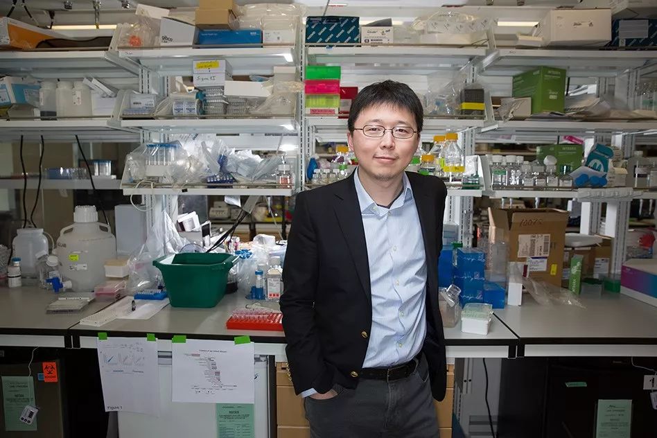 物理學家小剛