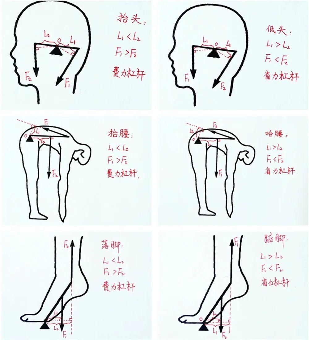 初中物理模塊