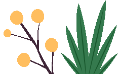 初中物理教育