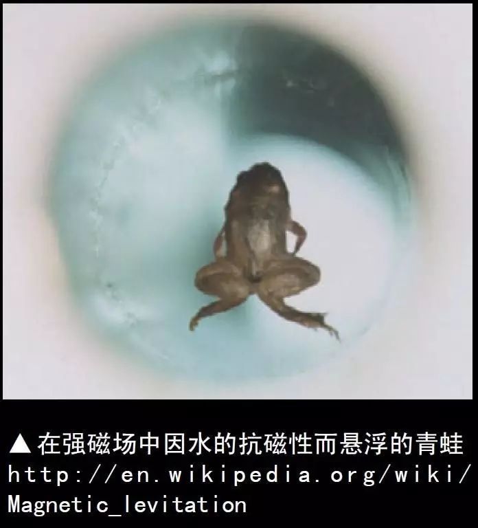 磁場的基本性質