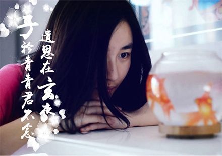 物理學家相親群