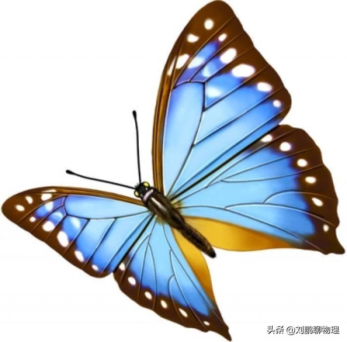 初中物理聲音知識點