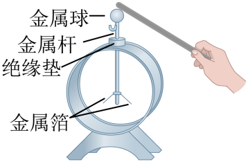 初中物理光屏