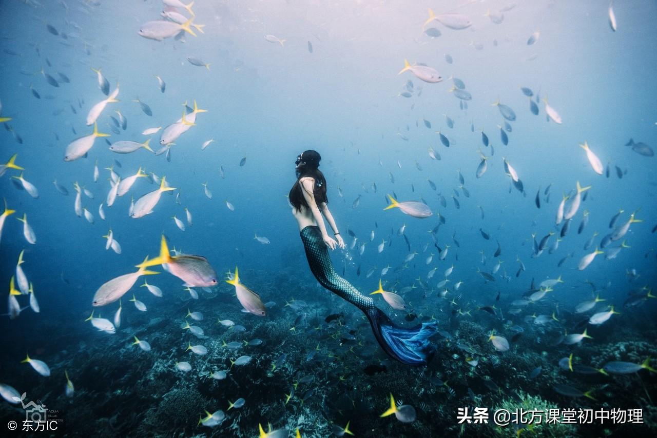 初中物理試題庫