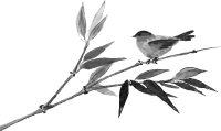 物理學家測量長度