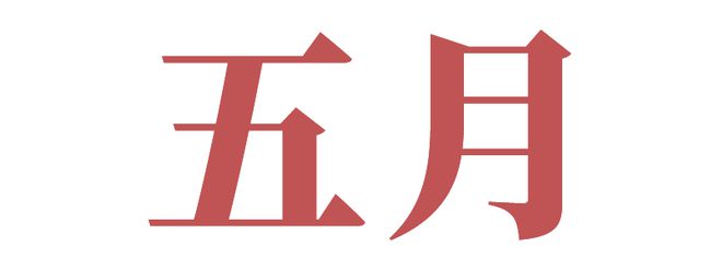 沖刺全國初中物理競賽