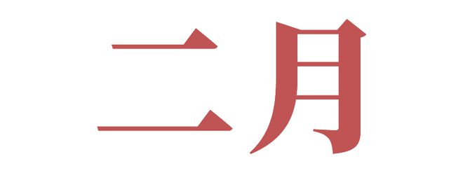 沖刺全國初中物理競賽