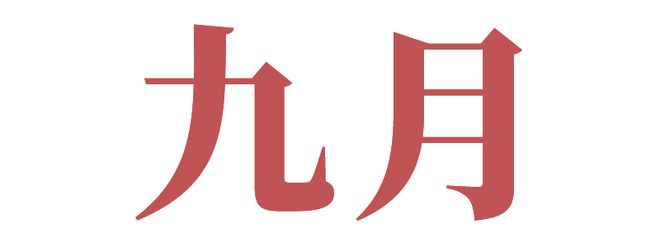 沖刺全國初中物理競賽