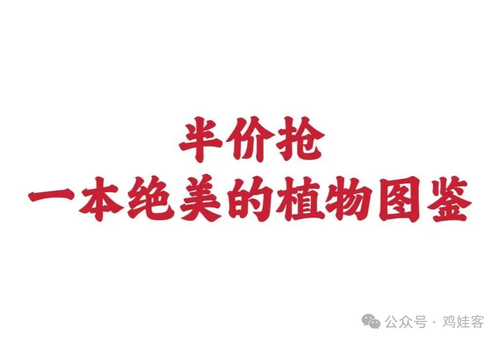高中物理試卷寶團購