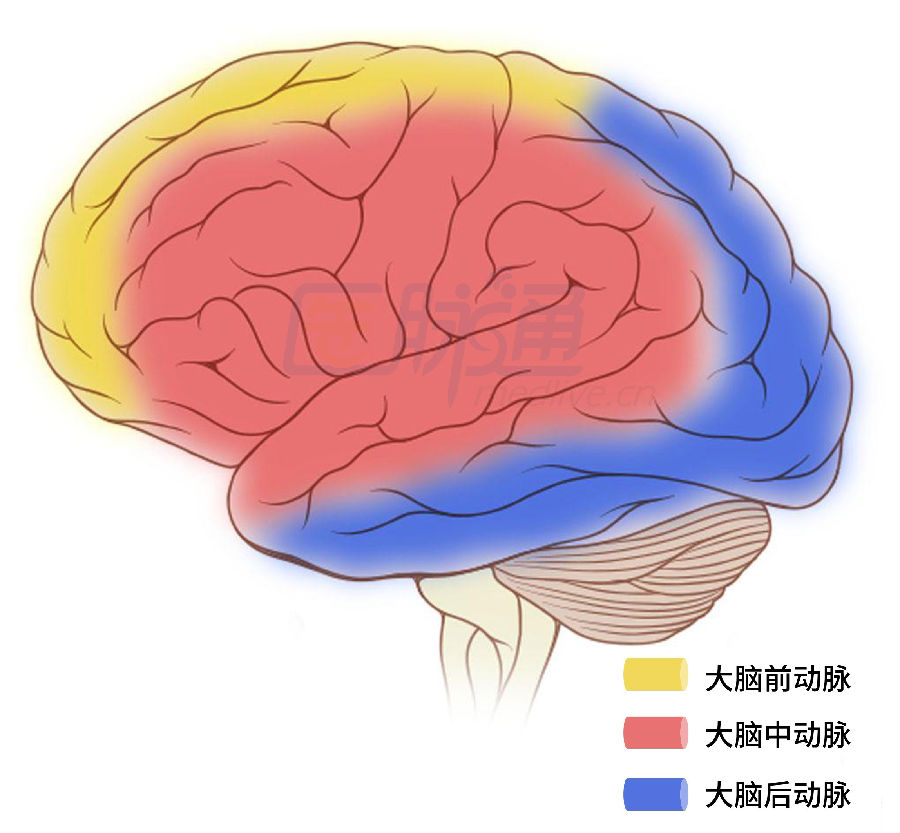 高中物理競賽運動學