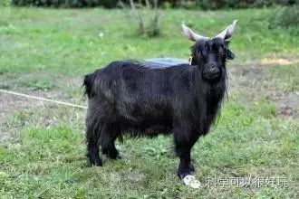 物理學(xué)家下雨笑話(huà)