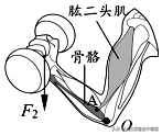 北方初中物理