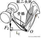 北方初中物理