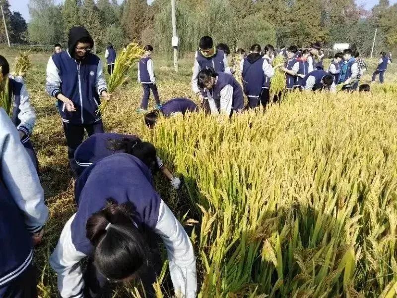高中物理的五三怎么樣
