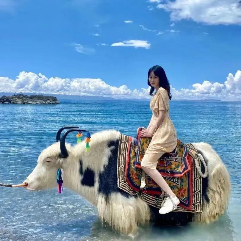 高中物理的意思