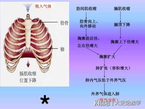 高中物理學考復習