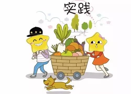 初中物理教學感悟