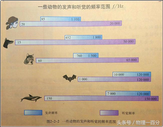 初中物理蝙蝠
