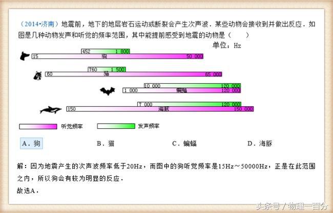 初中物理蝙蝠