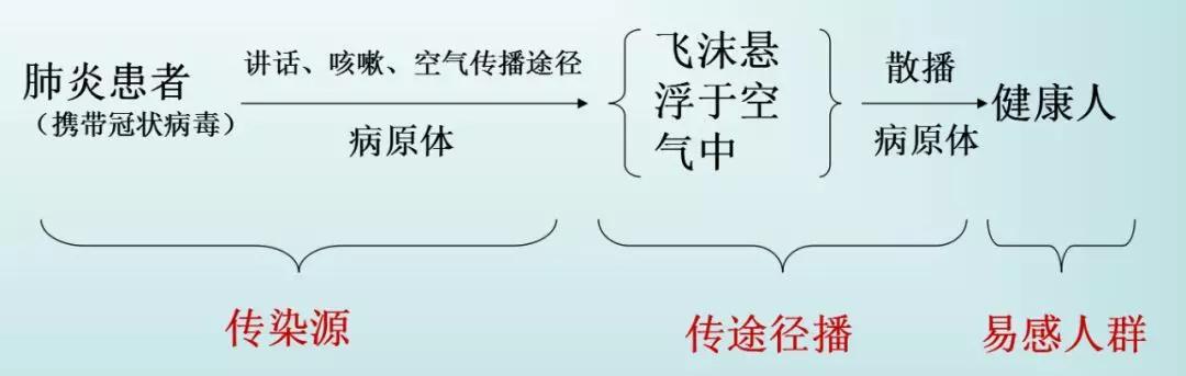 初中物理蝙蝠