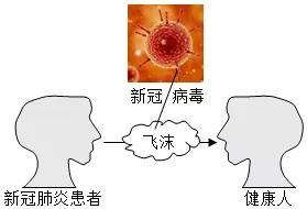 初中物理蝙蝠