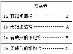 初中物理蝙蝠