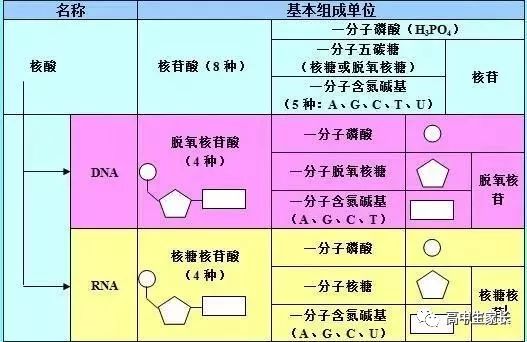 高中物理知識點總結表