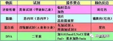 高中物理知識點總結表