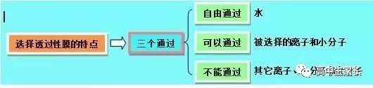 高中物理知識點總結表