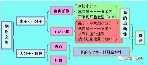 高中物理知識點總結表