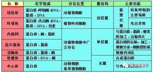 高中物理知識點總結表