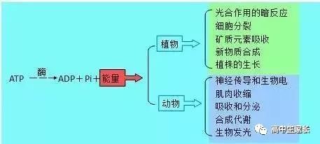 高中物理知識點總結表