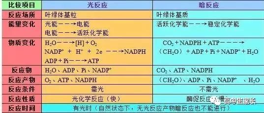 高中物理知識點總結表