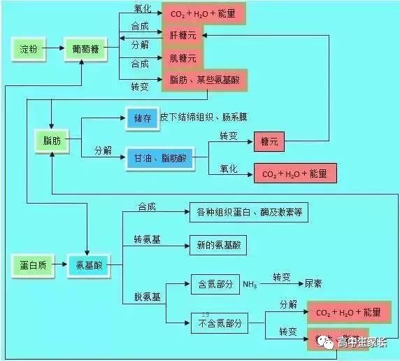 高中物理知識點總結表