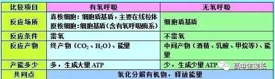 高中物理知識點總結表