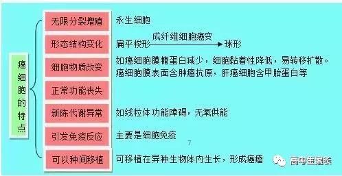 高中物理知識點總結表