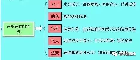 高中物理知識點總結表