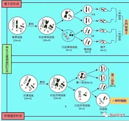 高中物理知識點總結表