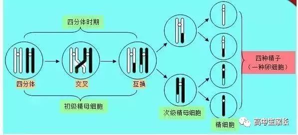 高中物理知識點總結表