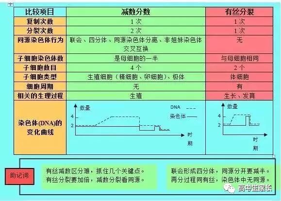 高中物理知識點總結表