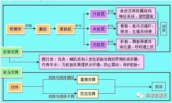 高中物理知識點總結表