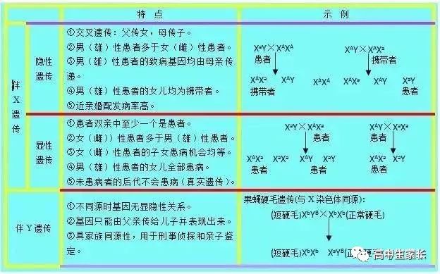 高中物理知識點總結表